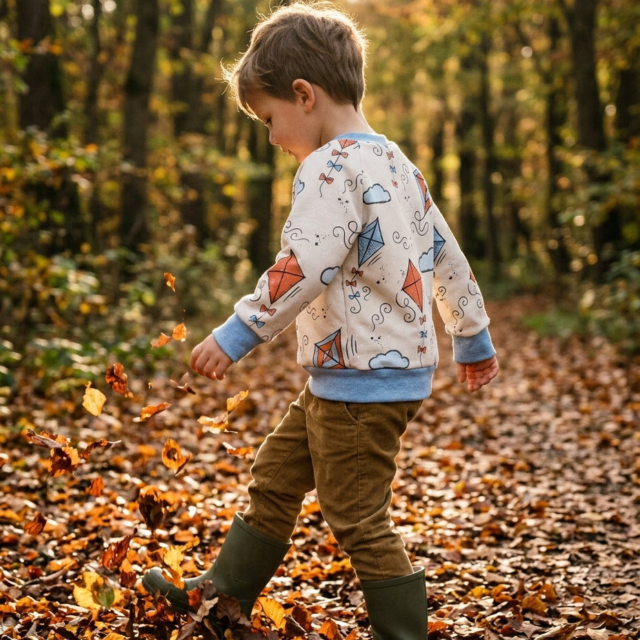 Kinderpullover Herbst "Drachenwind" – French Terry