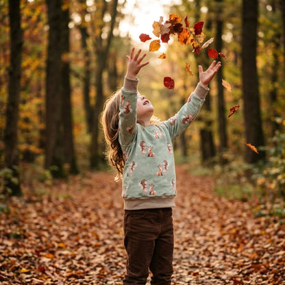 Kinderpullover Herbst "Fee & Fuchs" – French Terry